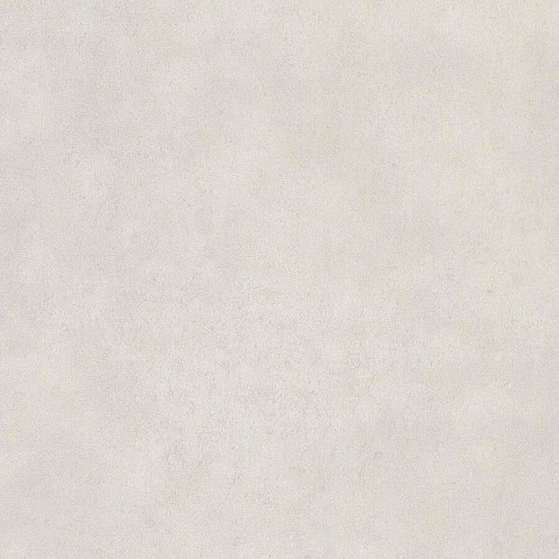 Snow, SS5S2628}