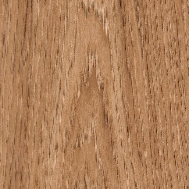 Smoothbark Hickory, SG5W2545}
