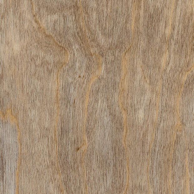 Bleached Elm, SG5W2516}