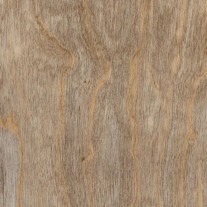 Bleached Elm, SG5W2516