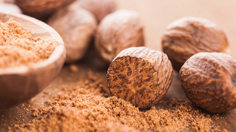 Die Muskatnuss als typisches Gewürz eines warmen Aromas