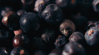 Wacholderbeeren verleihen Lebensmitteln ein vielschichtiges Aroma