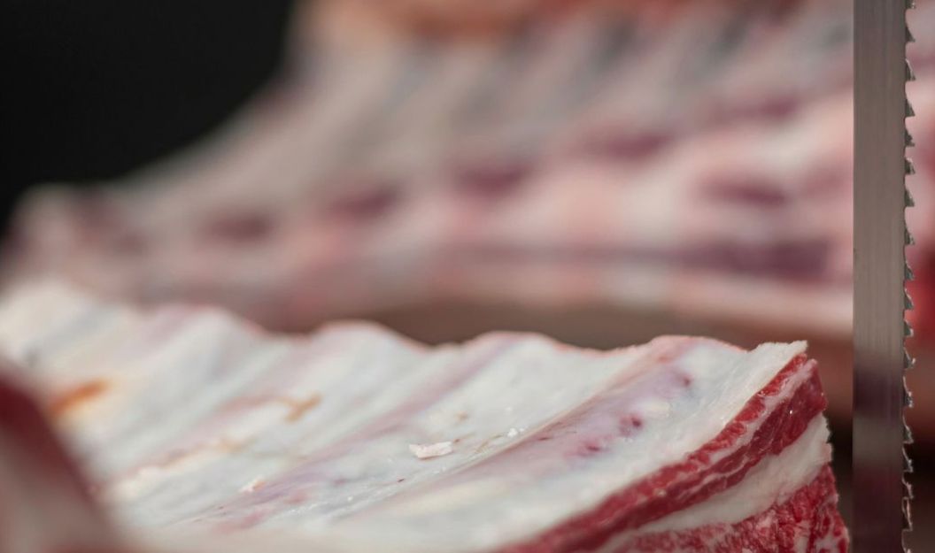 Sägetechnik bei der Zerteilung von Knochen und Fleisch
