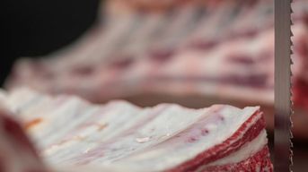Sägetechnik bei der Zerteilung von Knochen und Fleisch