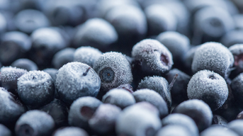 Gefrorene Heidelbeeren als ein Beispiel tiefgefrorener Lebensmittel