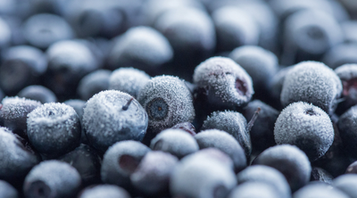 Gefrorene Heidelbeeren als ein Beispiel tiefgefrorener Lebensmittel