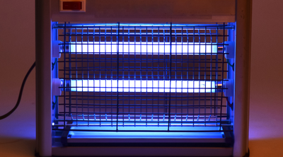 Insect control in the form of electric insect killers for food production