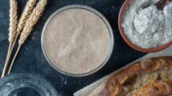 The use of sourdough as a leavening agent in baked goods