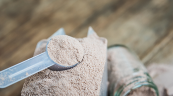 Proteins and plasma in powder form as food additives