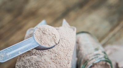 Proteins and plasma in powder form as food additives