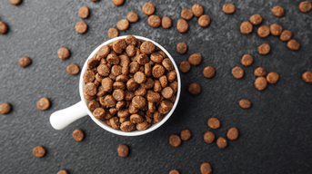 Schale mit Tiernahrung als Trockenfutter