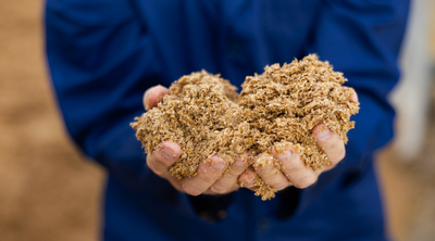 Biertreber wird als Nebenprodukt der Bierherstellung für die Produktion andere Lebensmittel weiterverwendet.