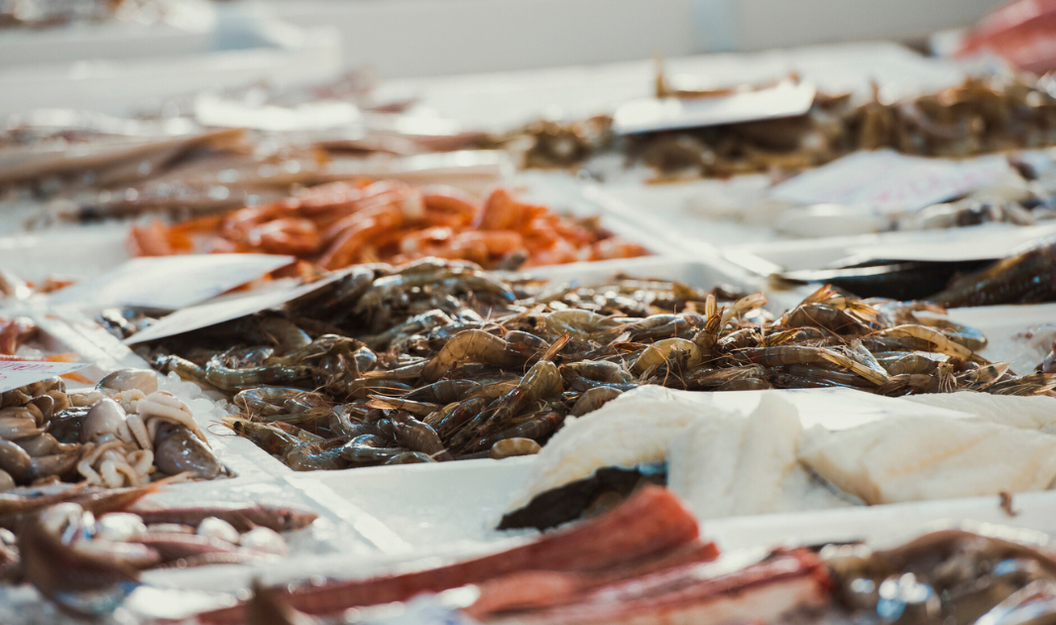 Fisch und Meeresfrüchte sind bei einer Vibrionen-Infektion besonders betroffen