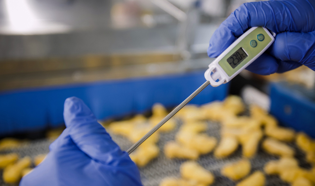 Monitoring product temperature using a professional thermometer during food production.