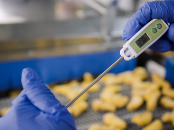 Monitoring product temperature using a professional thermometer during food production.