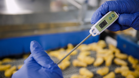 Kontrolle der Produkttemperatur mithilfe eines professionellen Thermometers bei der Lebensmittelproduktion.