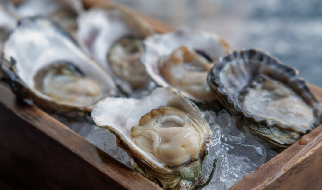 Austern auf Eis als schmackhafte Delikatesse