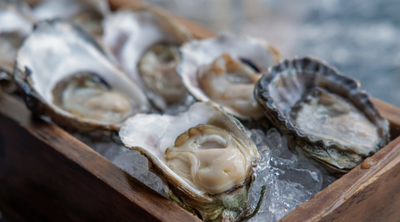 Austern auf Eis als schmackhafte Delikatesse