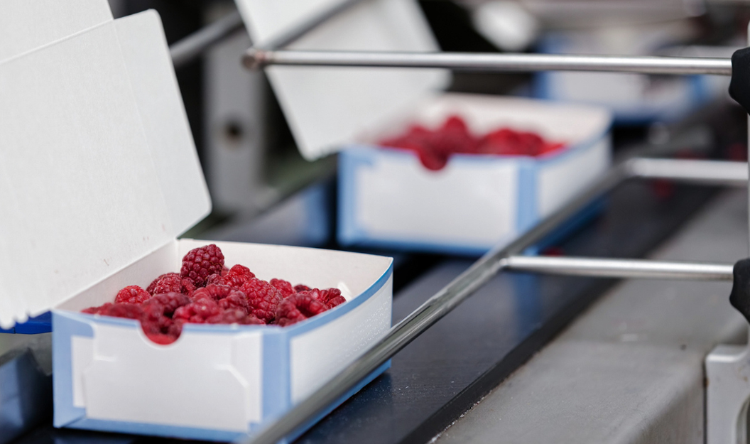 Tiefgekühlte Himbeeren als Ware im Verpackungsprozess