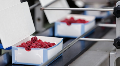 Tiefgekühlte Himbeeren als Ware im Verpackungsprozess