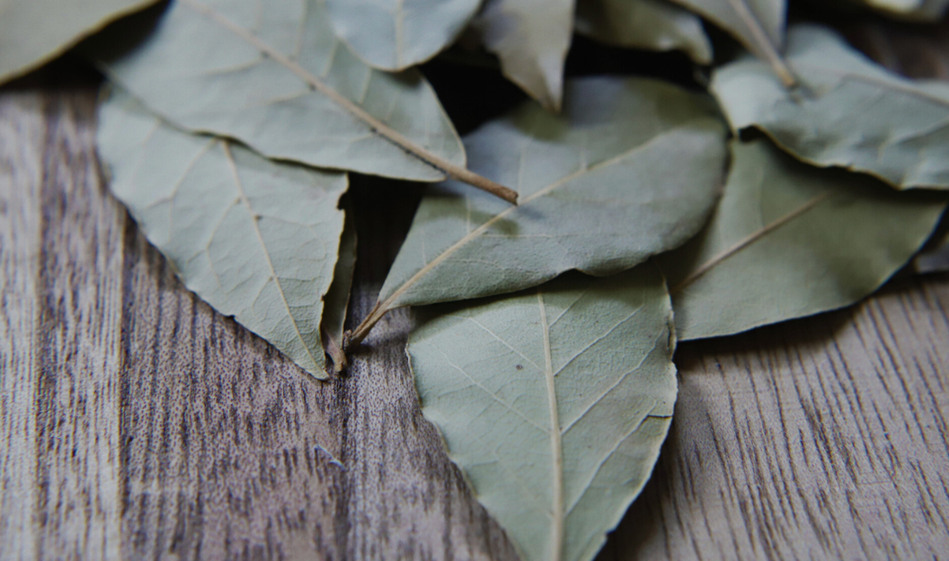 Getrocknete Lorbeerblätter in der Nahaufnahme