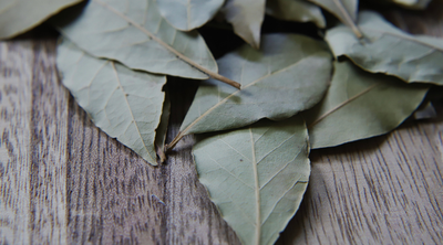Getrocknete Lorbeerblätter in der Nahaufnahme
