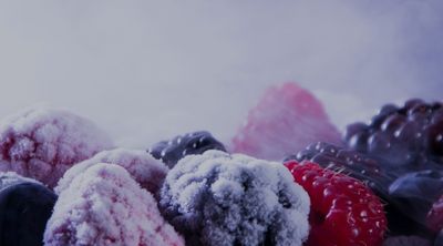 Frozen berries – Freezing as a method of preservation
