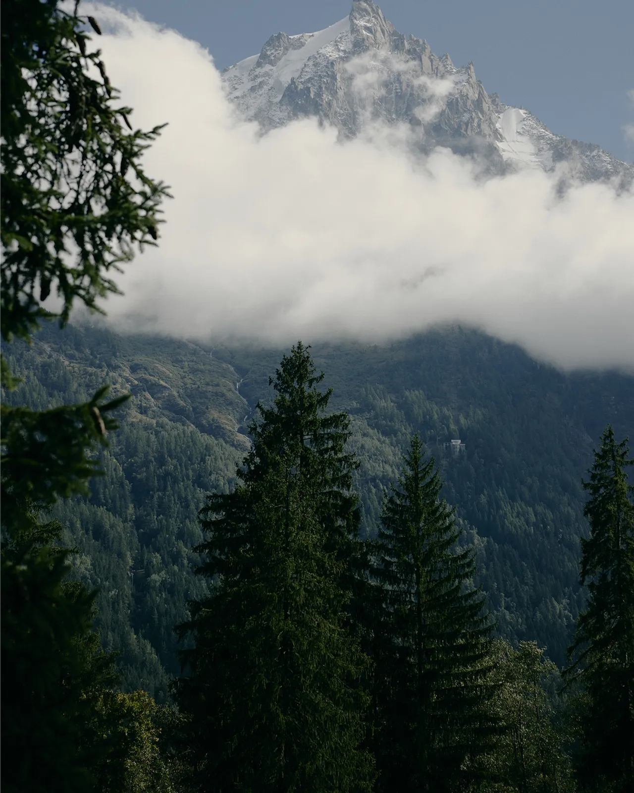 Snow-capped mountain peak above a forested landscape, with clouds partially covering the midsection, framed by tall evergreen trees.