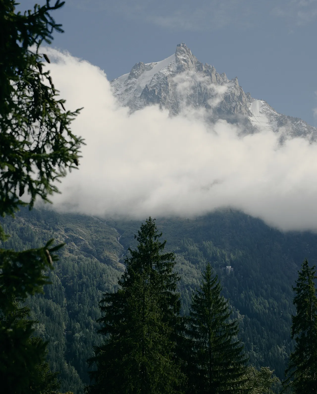 Snow-capped mountain peak with surrounding clouds, framed by evergreen trees in the foreground.