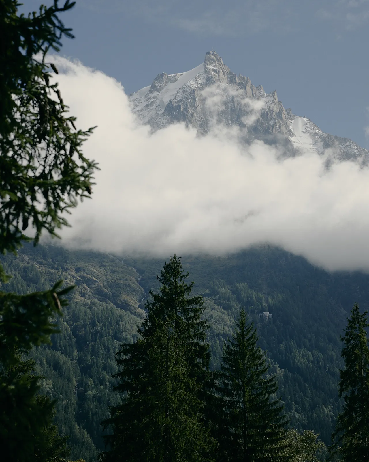 Snow-capped mountain peak with surrounding clouds, framed by evergreen trees in the foreground.