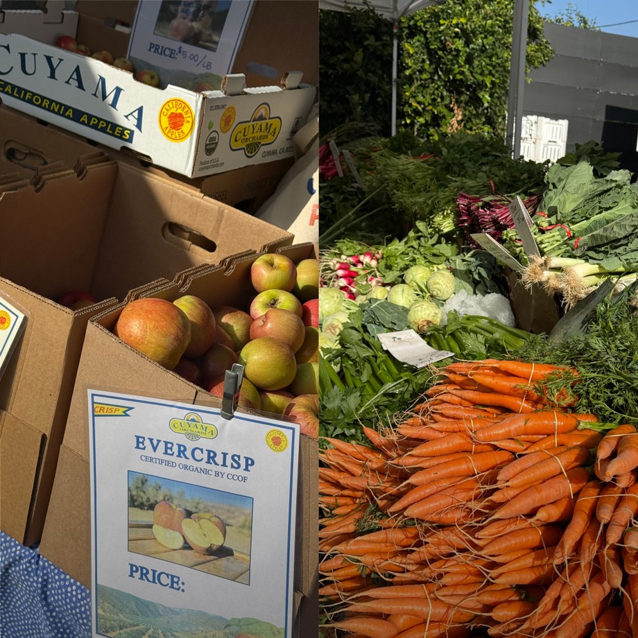 Boxes of Evercrisp apples and crates of fresh carrots, radishes, and greens on display at a market.