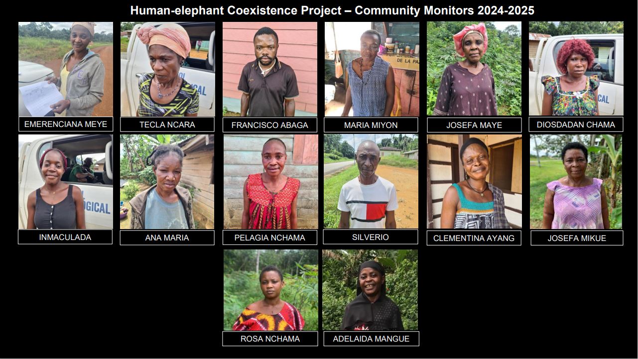 Collage of 15 community monitors from the Human-elephant Coexistence Project, each with their name displayed below their portrait.