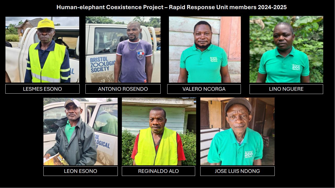 Seven men wearing green shirts and high-visibility vests, part of the Human-elephant Coexistence Project, pose for individual photos.