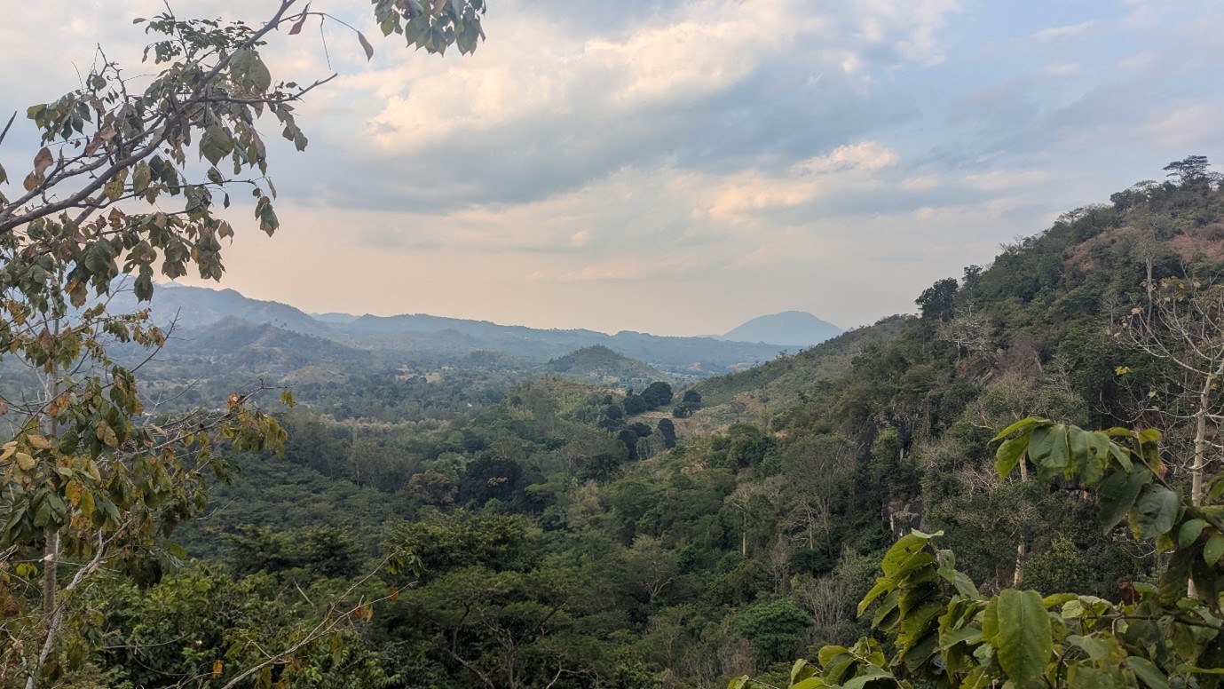 Lush green valley with rolling hills under a cloudy sky, framed by trees on the sides, and distant mountains on the horizon.