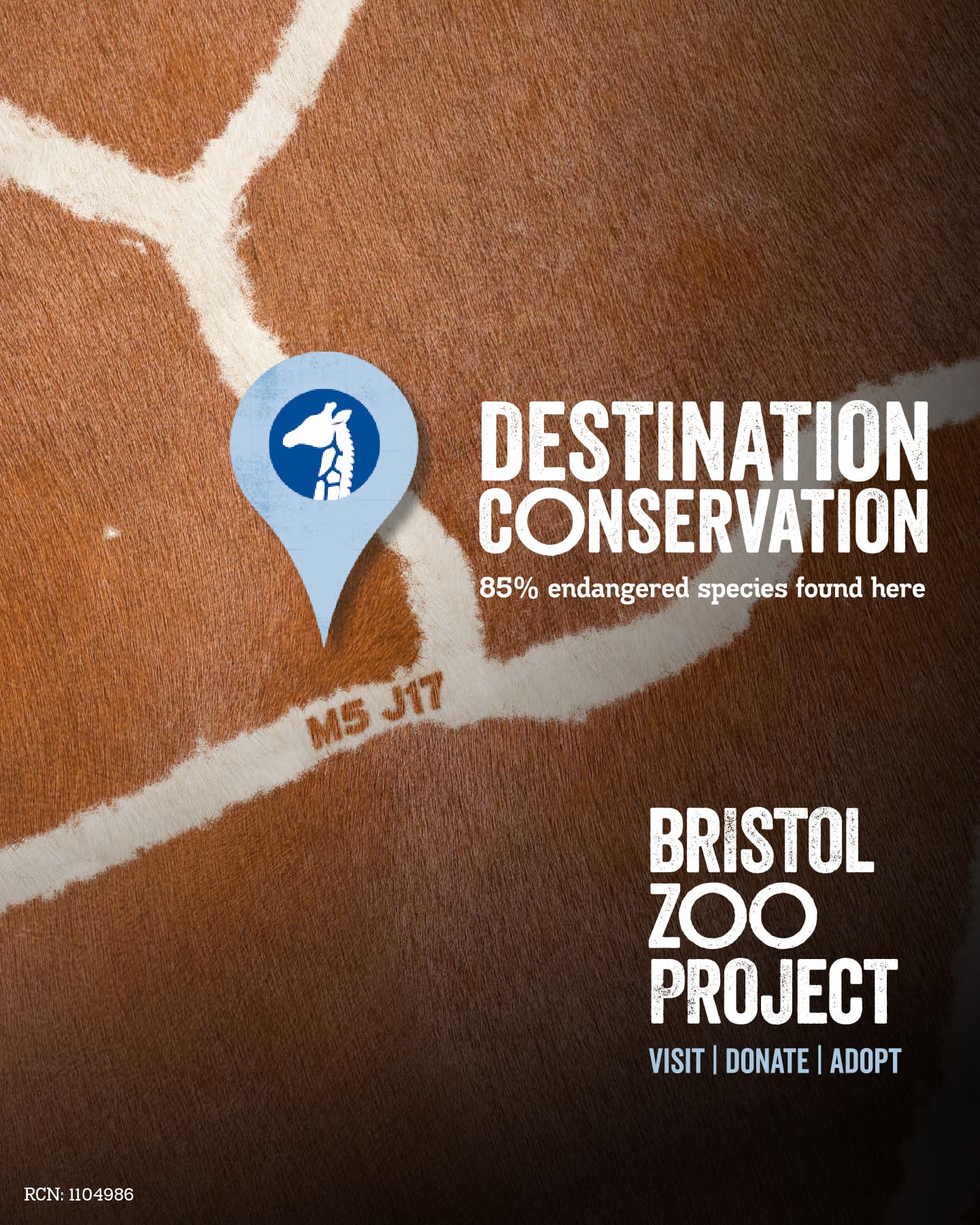 A close up of a giraffe's patterned fur with the words 'Destination Conservation'