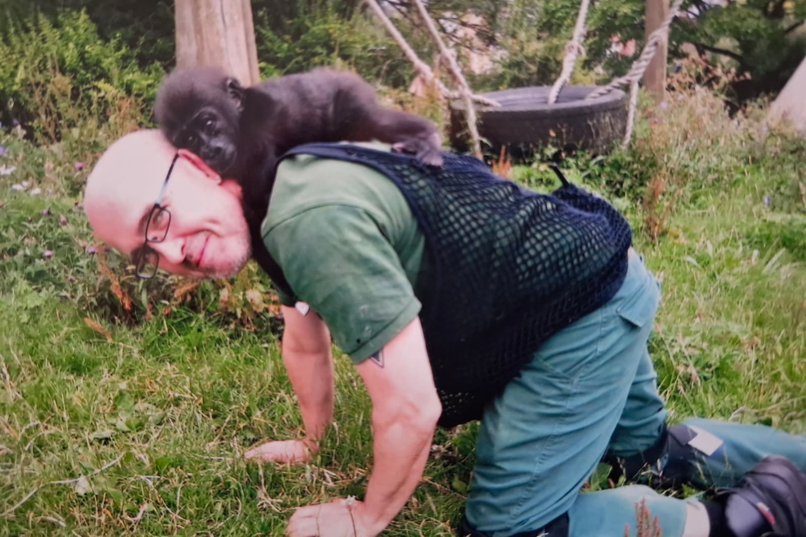 A individual crawls along some grass with a baby gorilla perched on their back