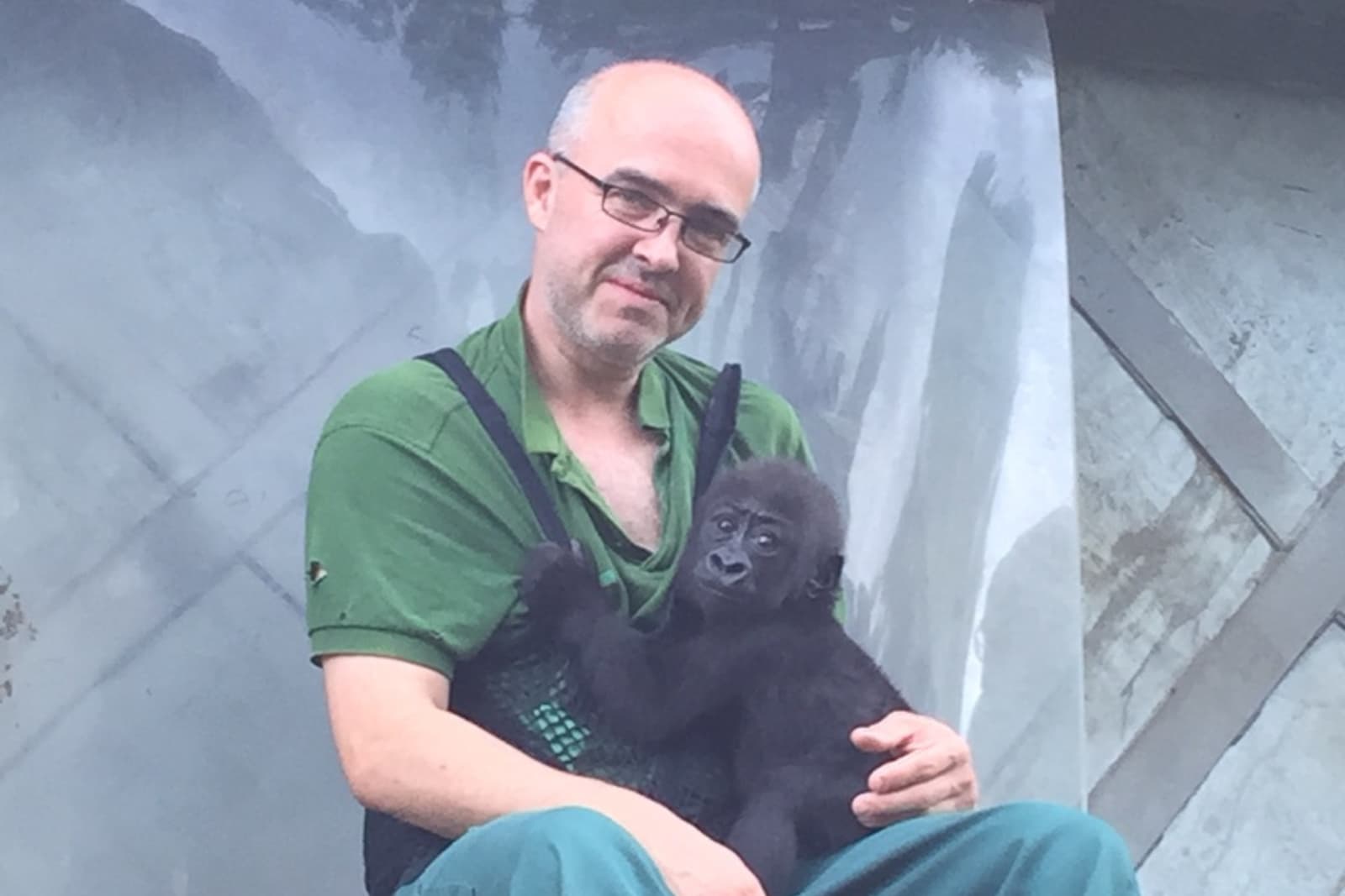 An individual sits smiling at the camera while a baby gorilla sits in their lap