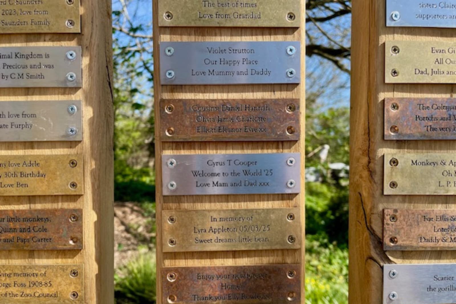 African Forest supporter plaques Plaques mounted on wooden posts, each engraved with personal messages and names. Trees and grass visible in the background.