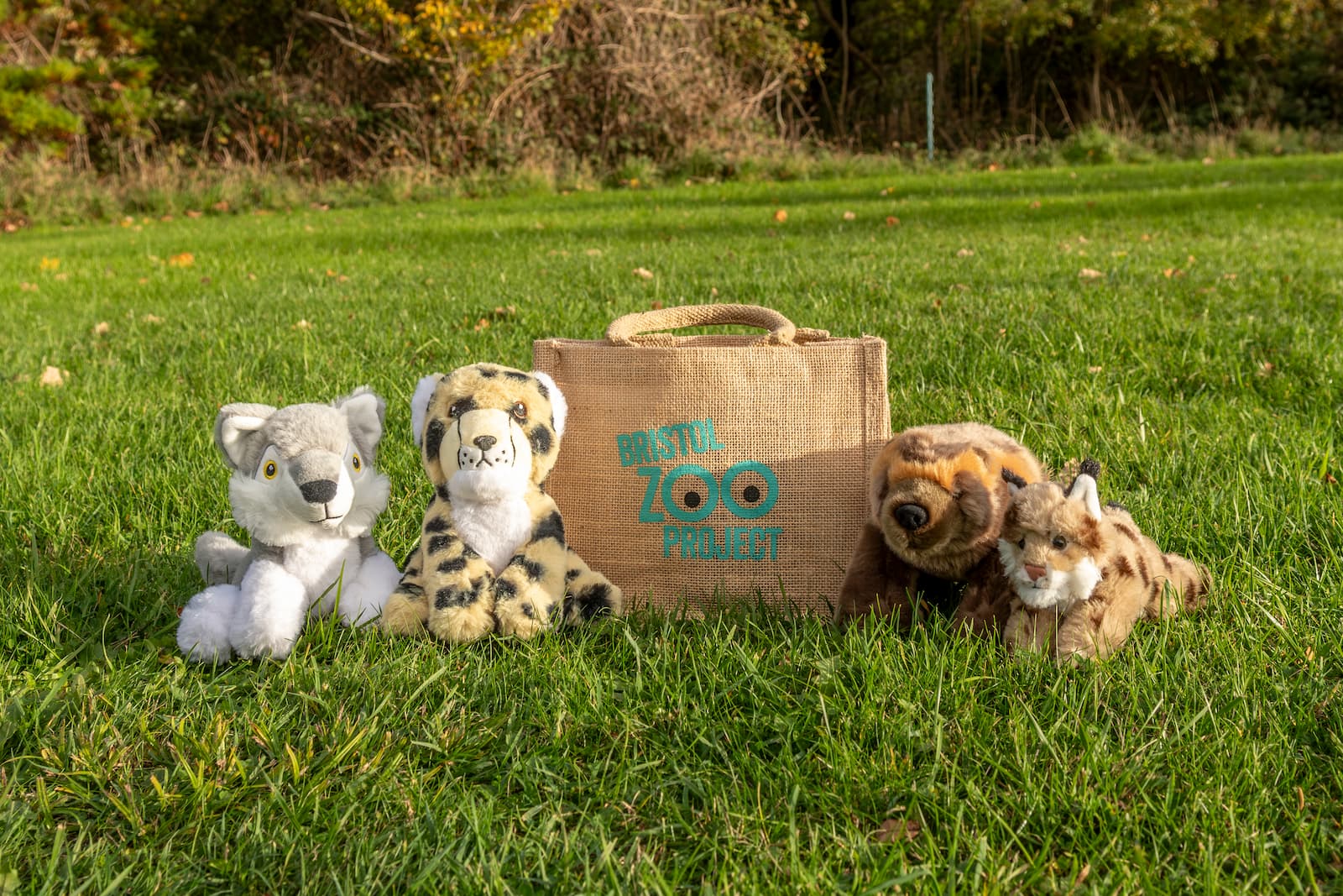 Adoption pack cuddly toys Plush toys of a wolf, cheetah, wolverine, and lynx sit on grass beside a burlap bag with