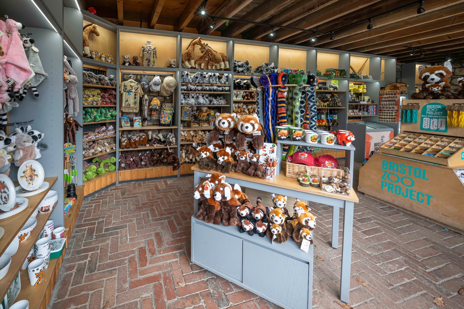 Bristol Zoo Project gift shop A zoo gift shop with plush toys, mugs, and souvenirs on display. Shelves are filled with animal-themed items under wooden beams.