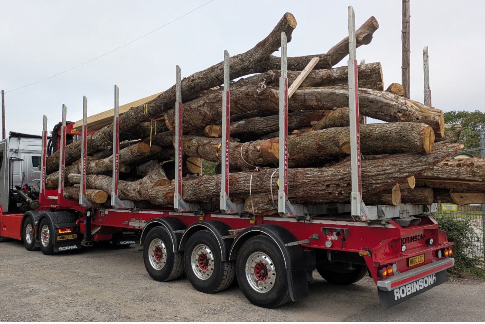 Gorilla gym logs A red truck with a trailer loaded with large tree logs, parked on a gravel surface, surrounded by a cloudy sky.