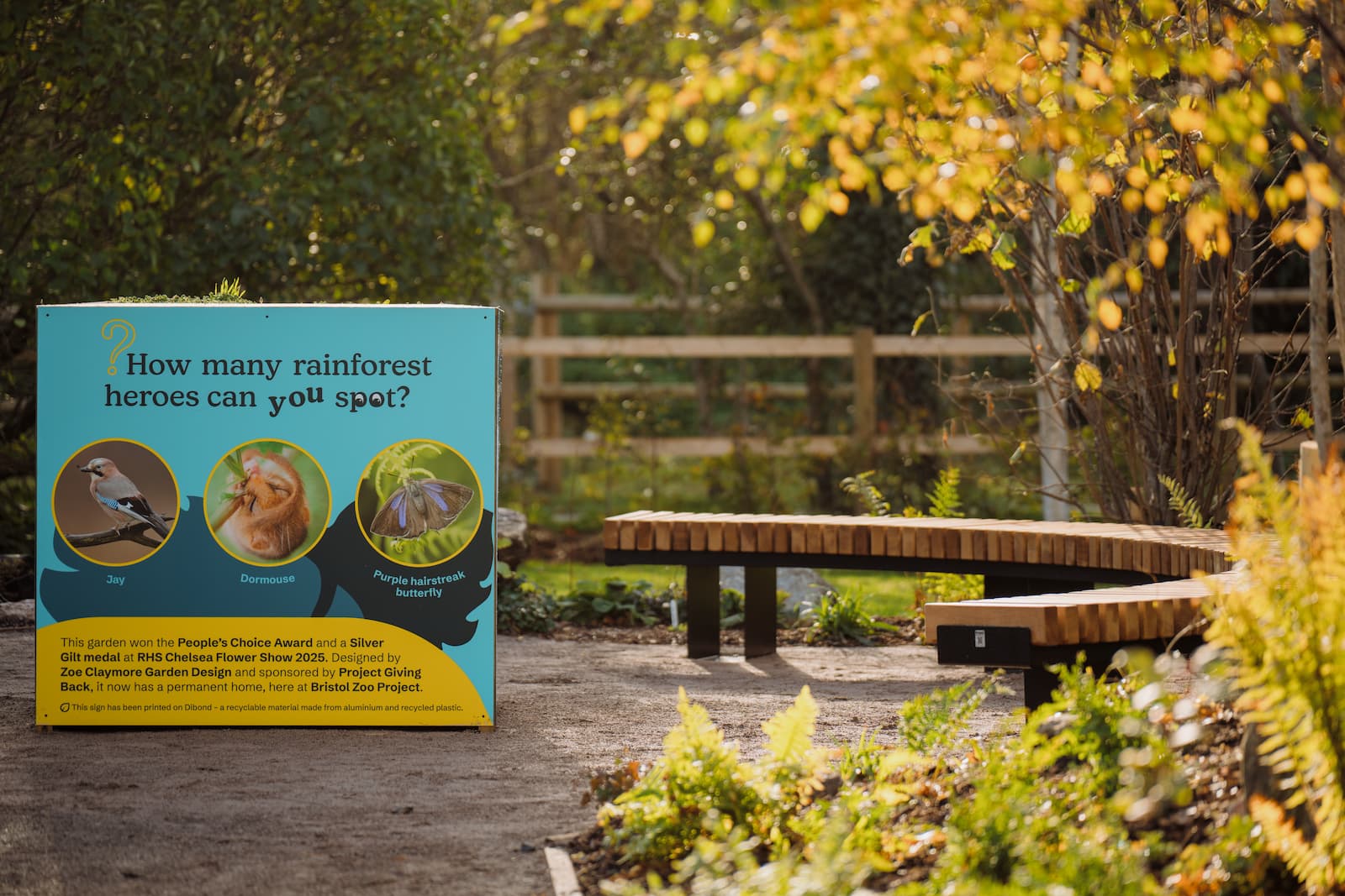 Rainforest garden at Bristol Zoo Project Outdoor garden with a sign about rainforest animals, surrounded by trees and benches. Sunlight filters through the leaves, creating a serene atmosphere.