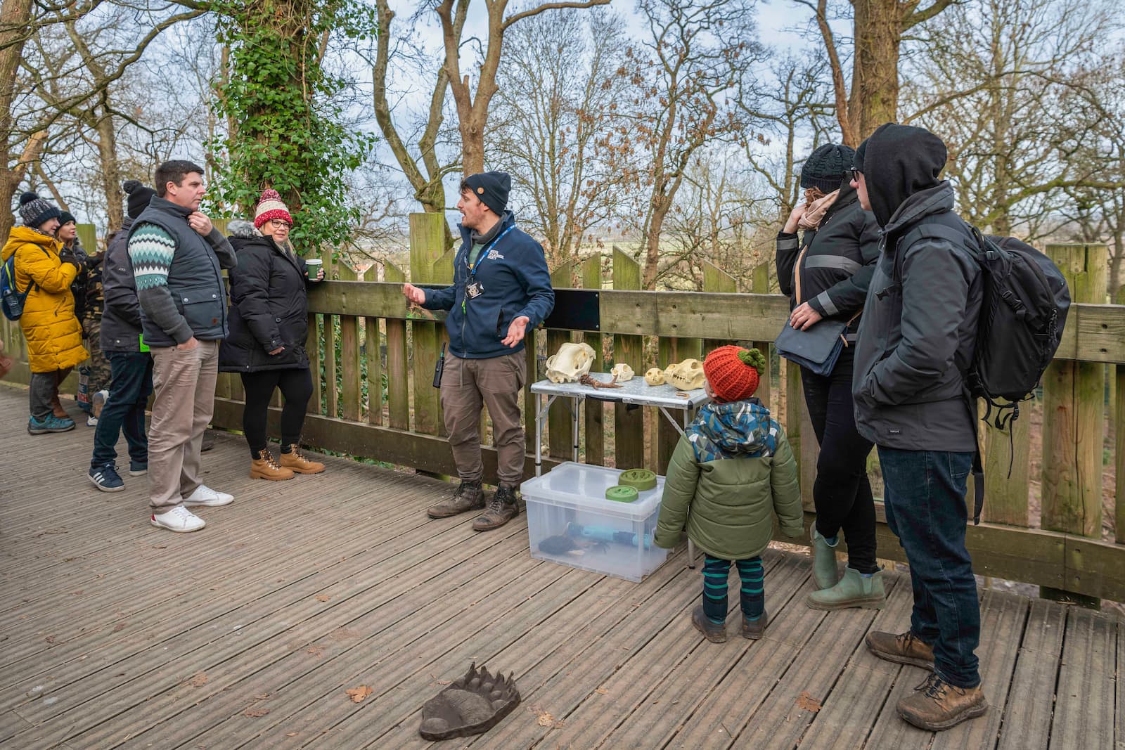 A group of people listens to a guide explaining animal skulls on a wooden walkway in a wooded area.
