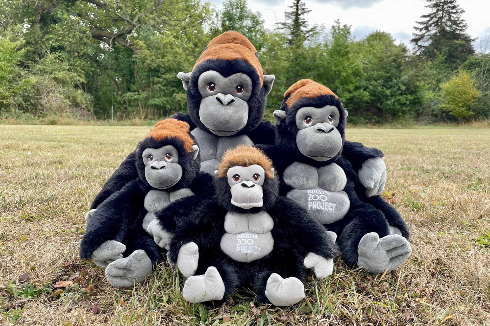 Four plush gorillas with orange hats sit on grass, surrounded by trees. Each has 
