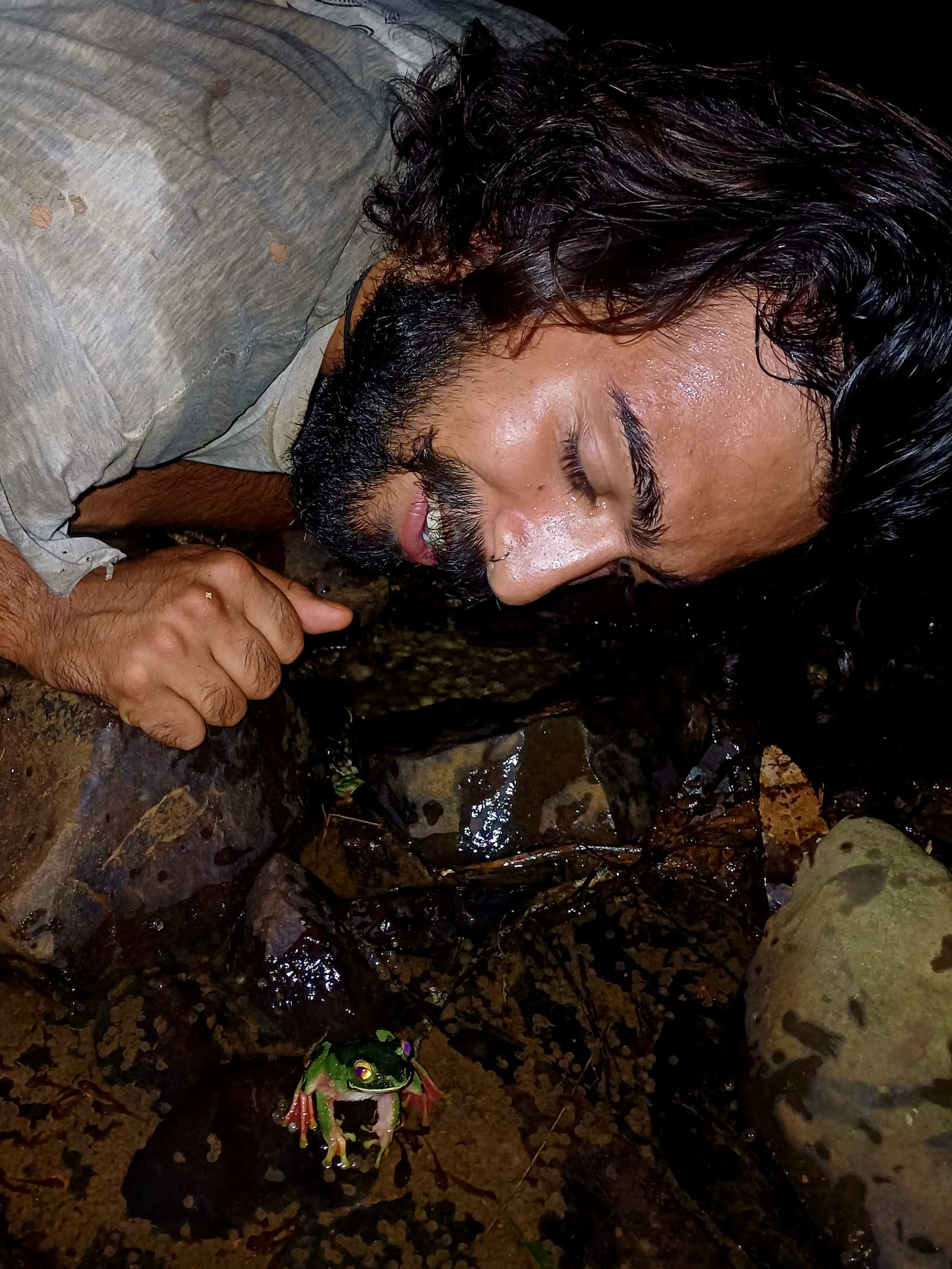 A person with long hair and a beard smiles closely at a small green frog on wet rocks at night.