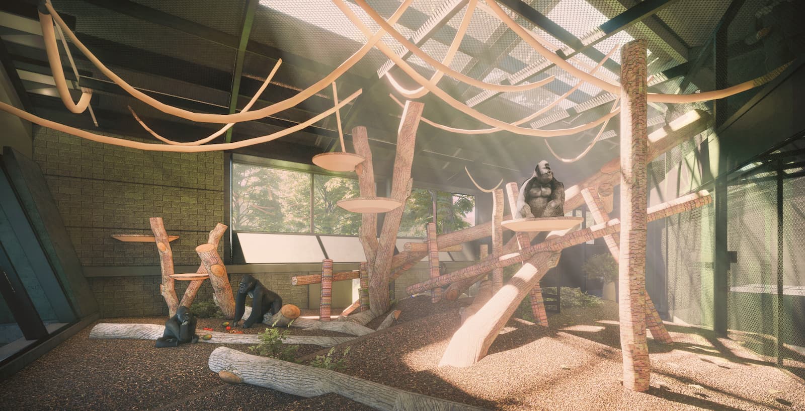 An artist's impression of the view of the African Forest gorilla gym from the new learning space at Bristol Zoo