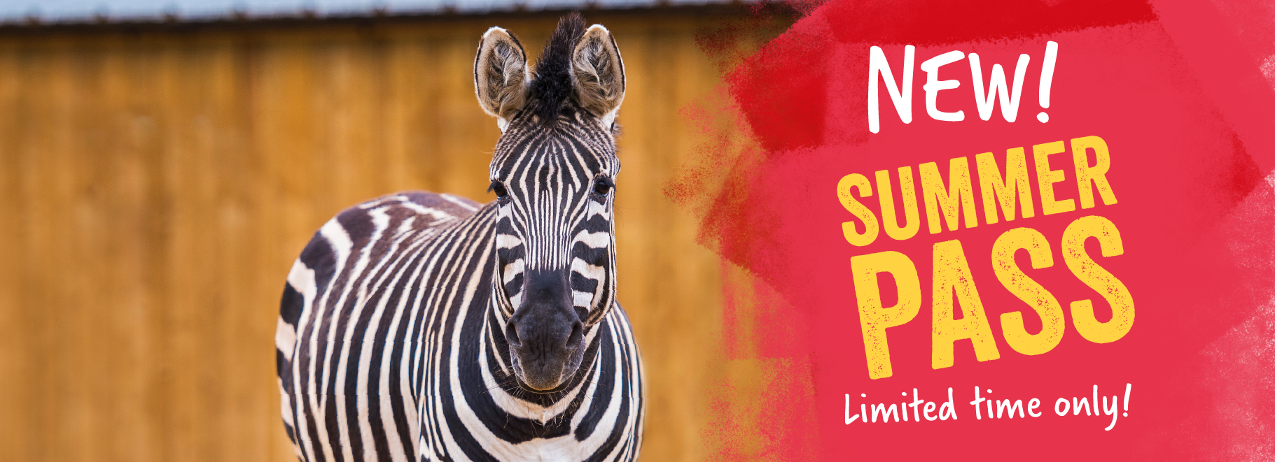A promotional image for the new Summer Pass, featuring a zebra