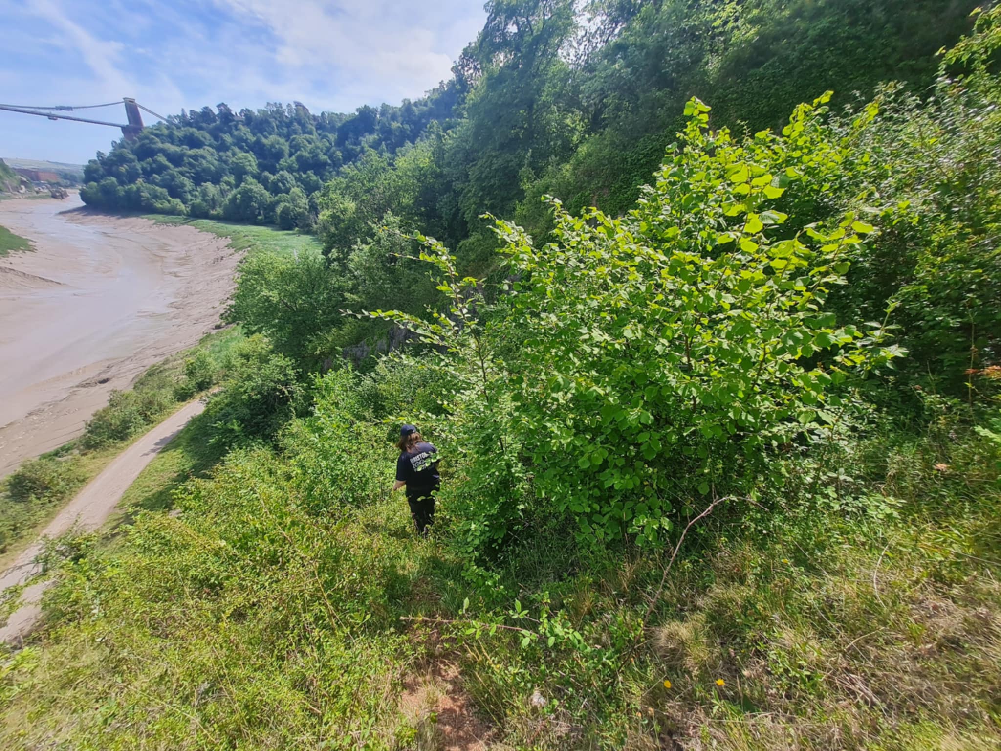 Person in dark clothes descending a steep grassy riverside slope through dense green bushes, muddy riverbed below and a suspension bridge in the distance.
