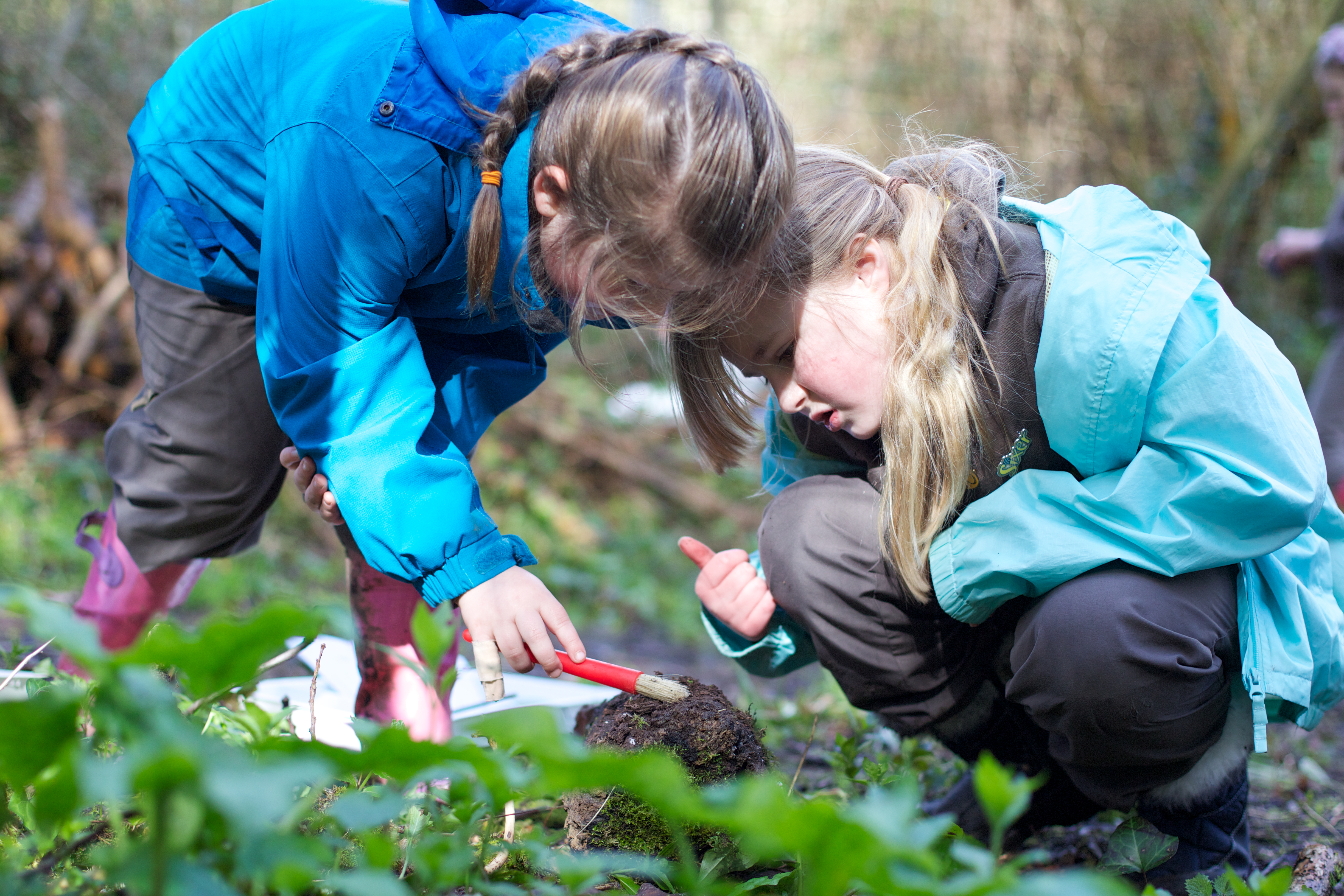 Two children looking at insects on the ground