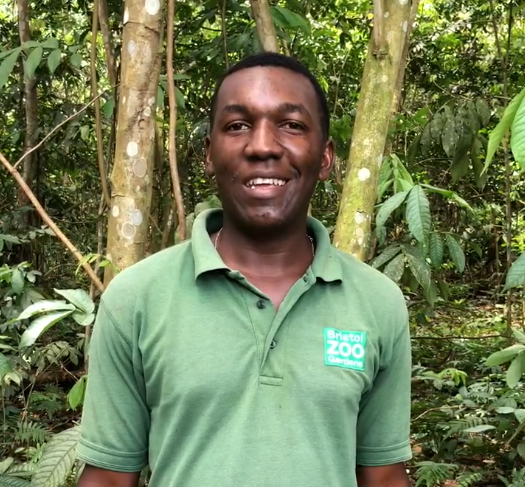 A man standing in the African forest